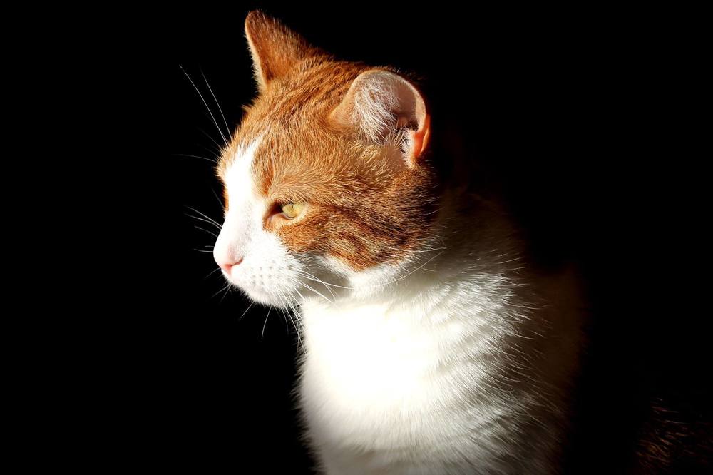 Photograph by Ульяна Барышникова