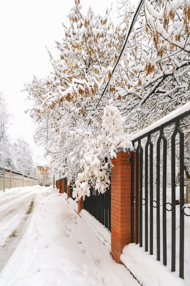 Неожиданно зимой пошёл снег 2/ Again in the winter it suddenly snowed 2