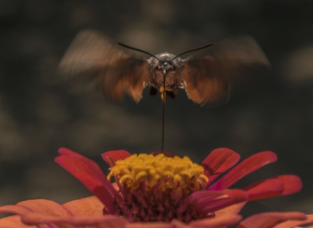 Как на духу