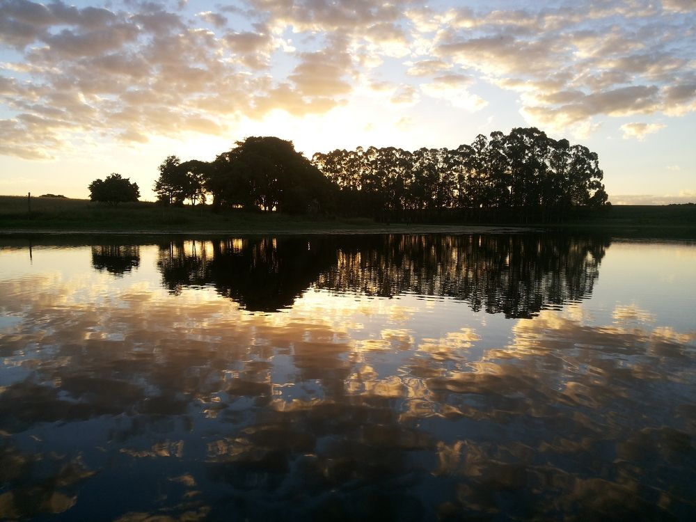São José Farm - Baixo Grande - São Sepé - RS - Brasil