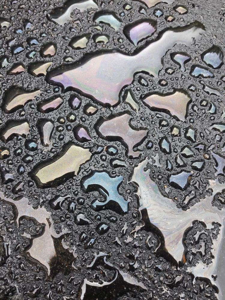 и под ногами ярко