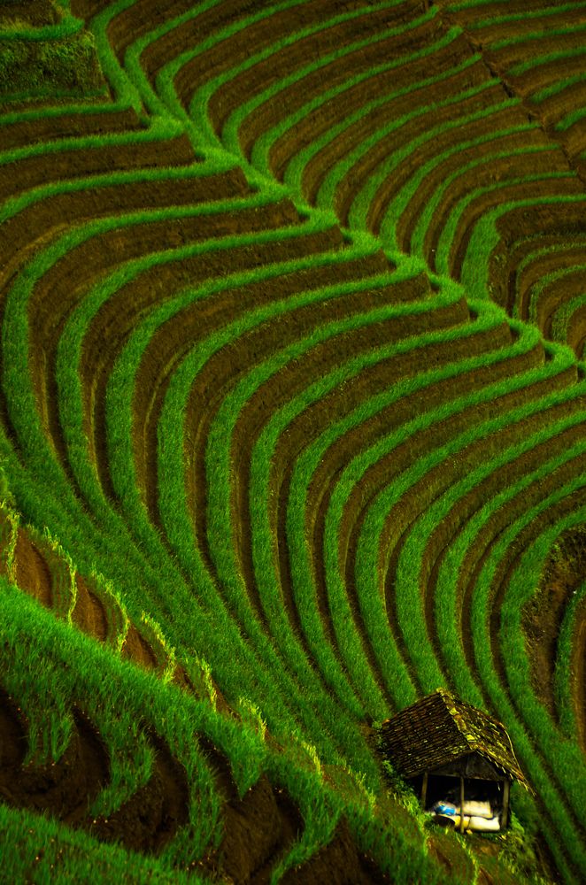 the hill panyaweuyan