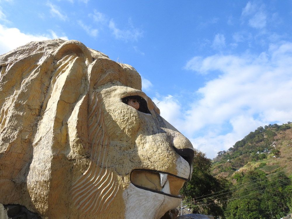Lion\'s Head