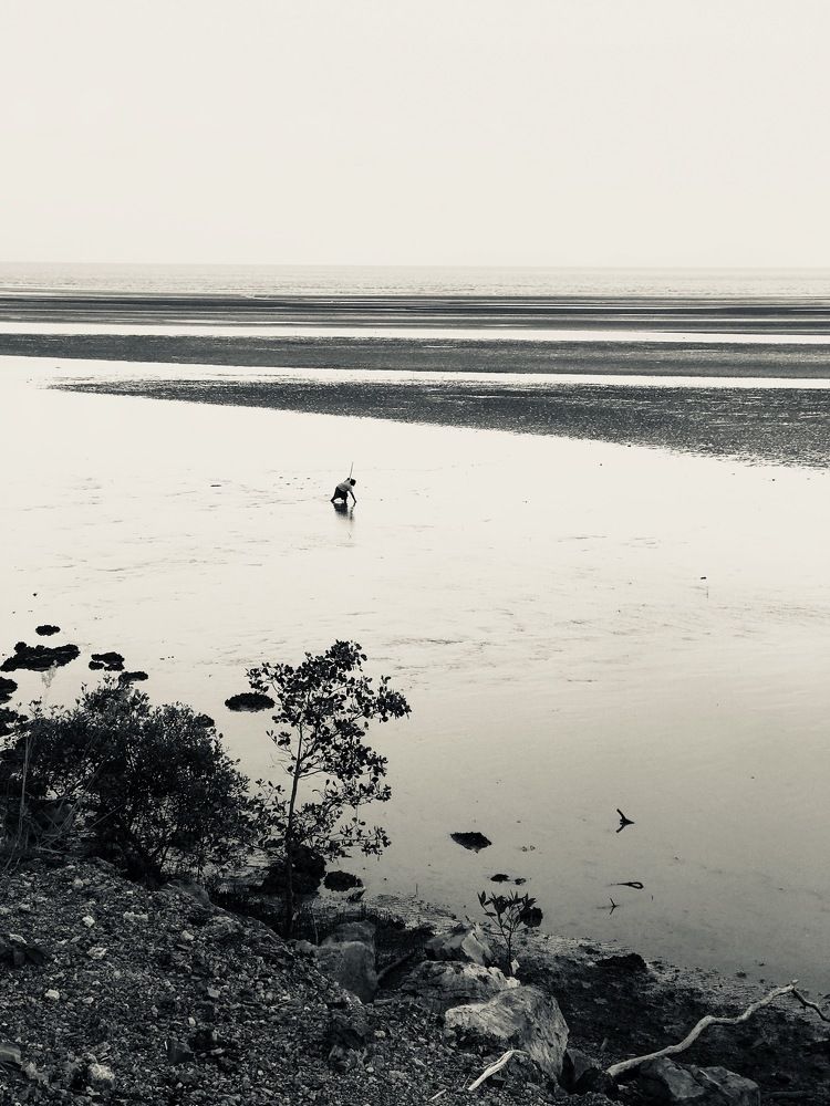 Собирательница моллюсков