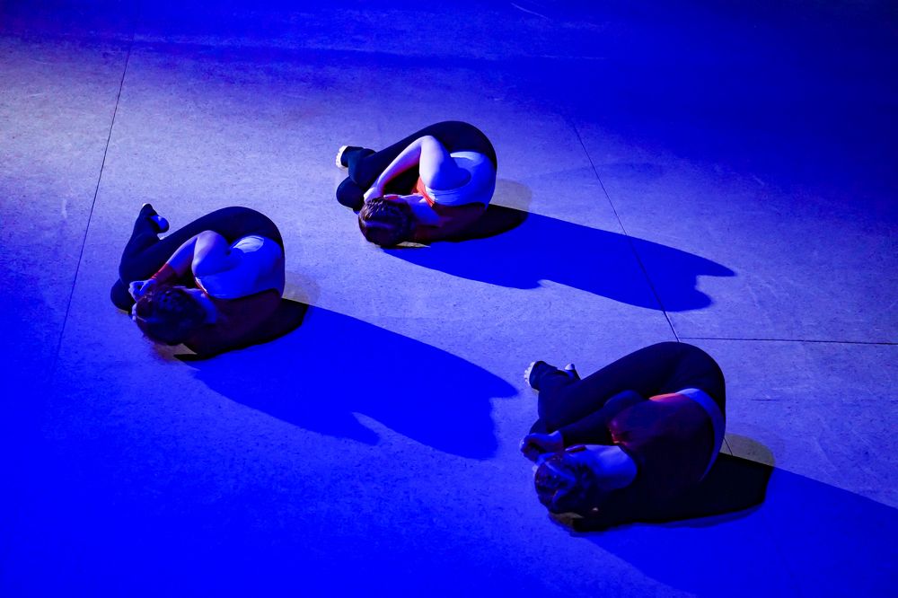 Эмбрионы на сцене / embryos on stage