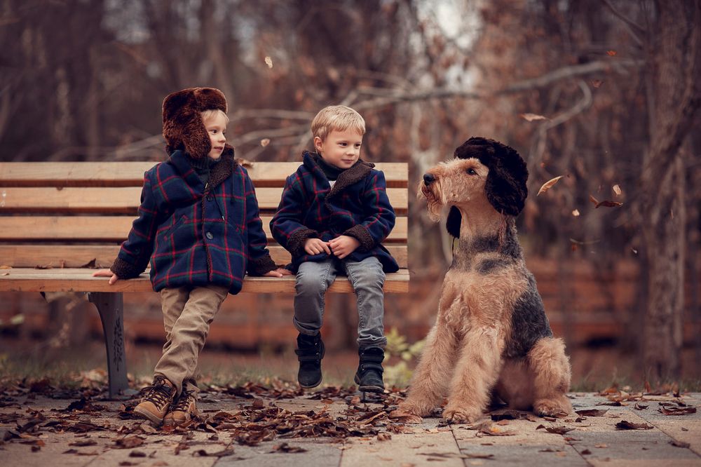 Приключения Электроников