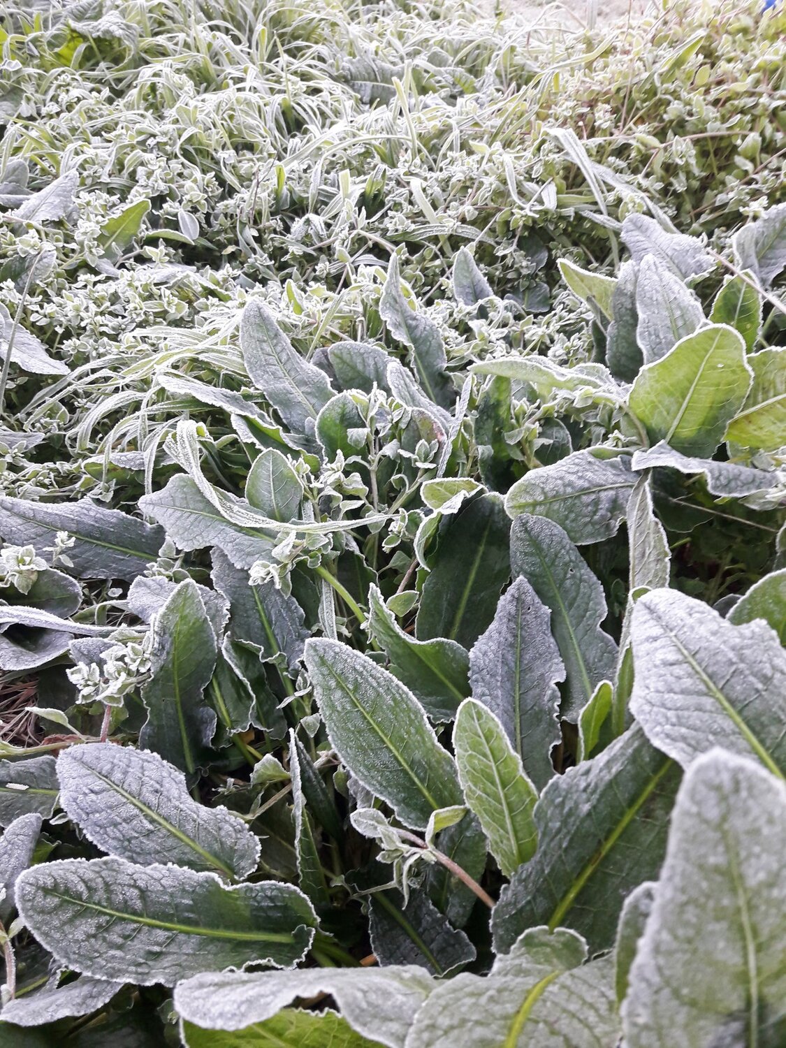 Winter in Patagonia