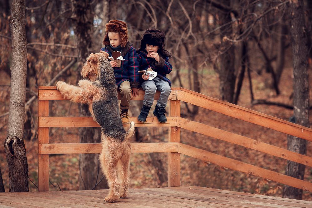 Приключения Электроников