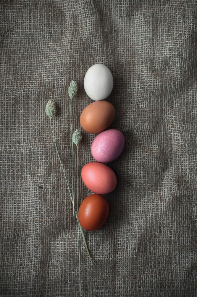 Photograph by Анна Мосс