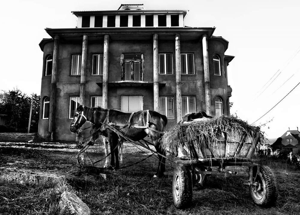 Hourse in the Garden