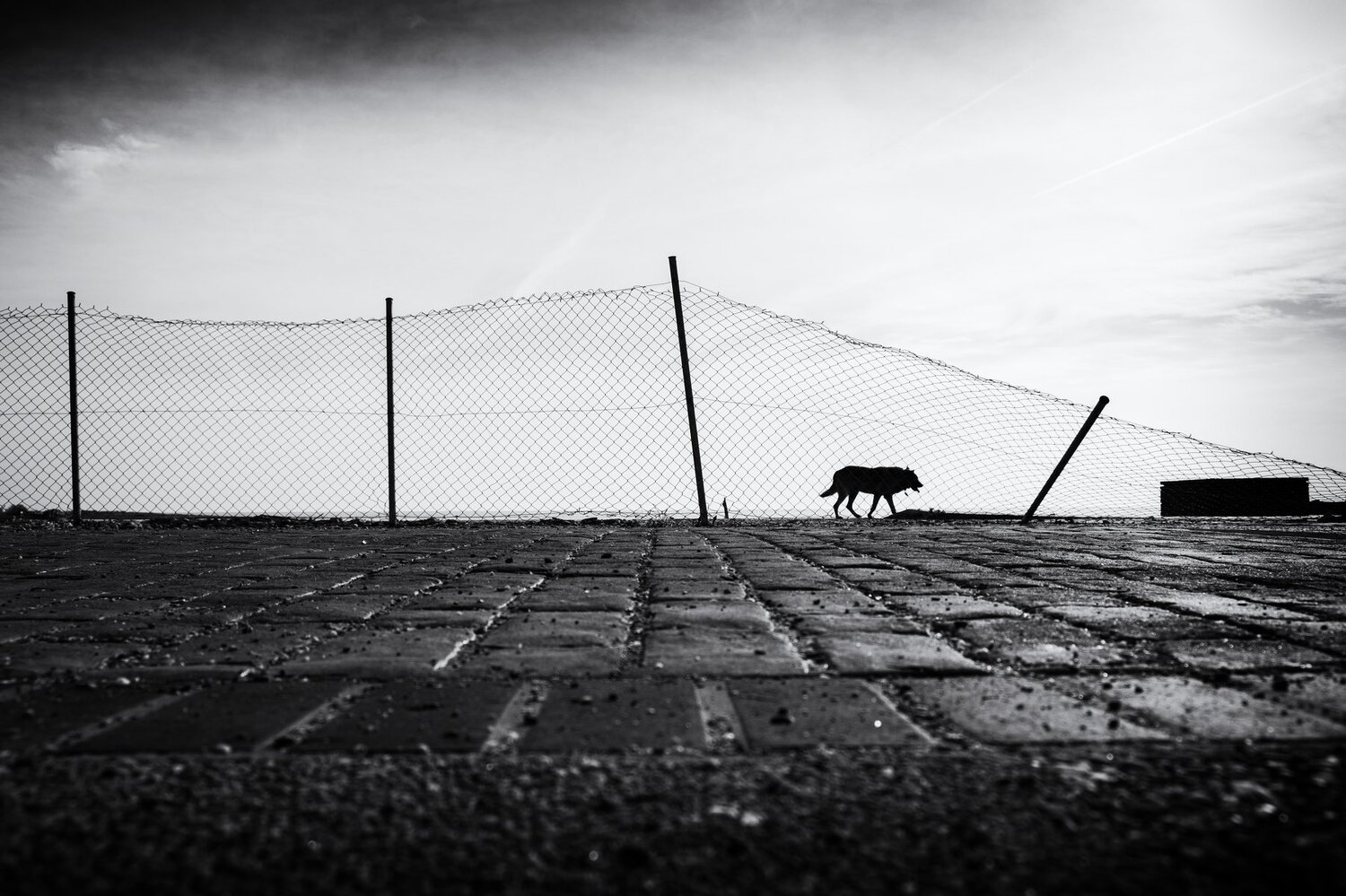 Fence