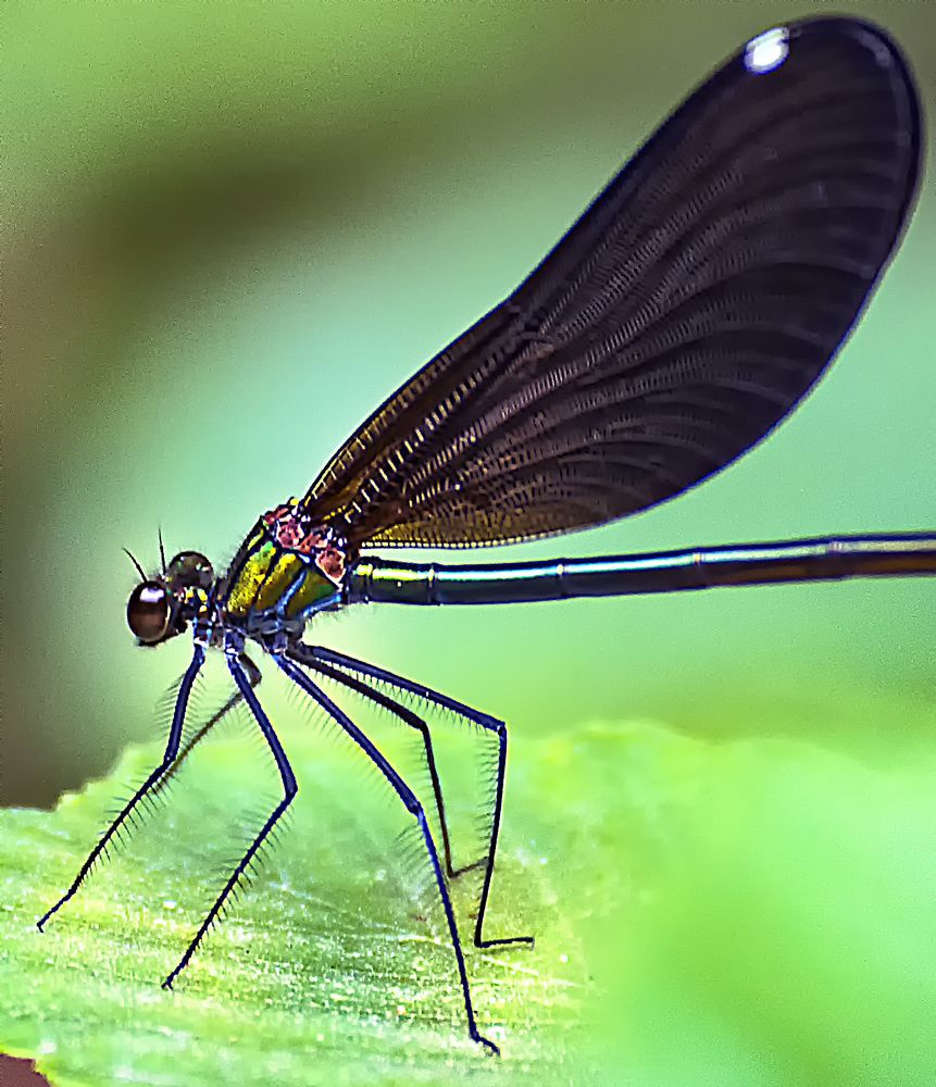 Photograph by Cuneyt