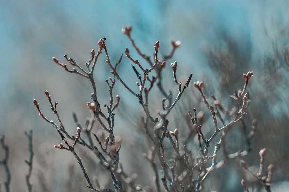 Photograph by Павел Милкин