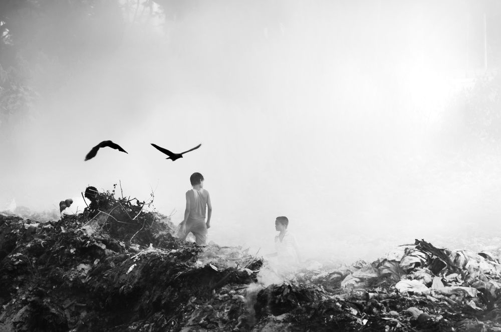 Struggle for existence