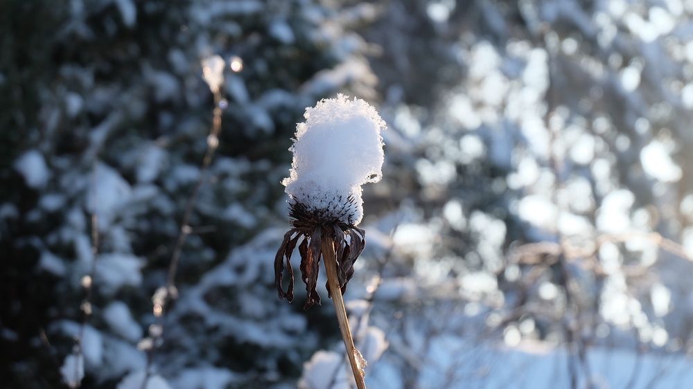 Photograph by Анна Панкратова