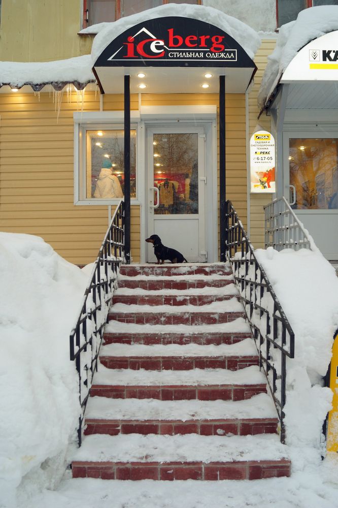 Такса у входа