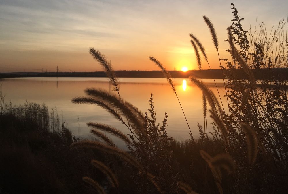 Летний вечер.