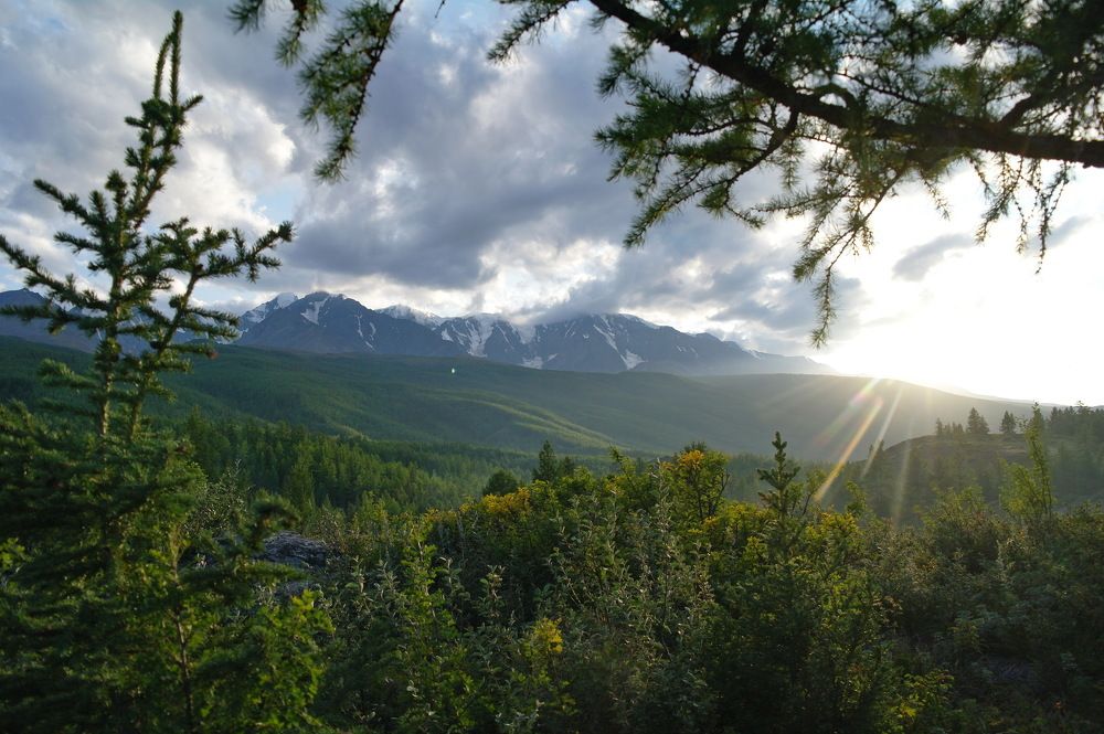 Алтайское солнце!