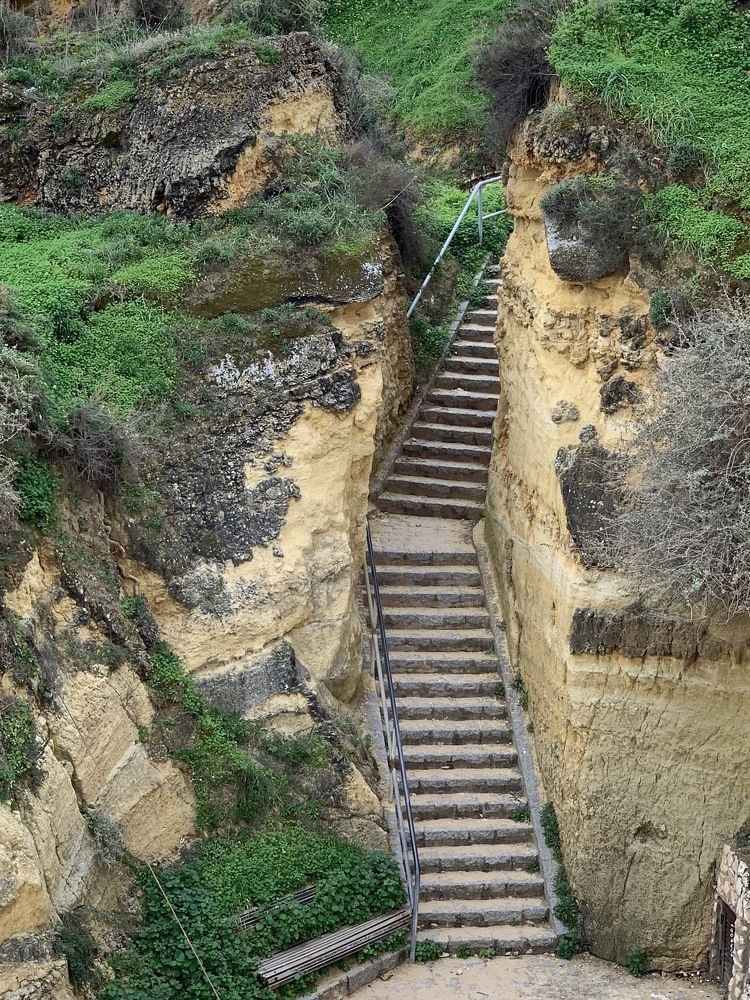 Life-one step at a time