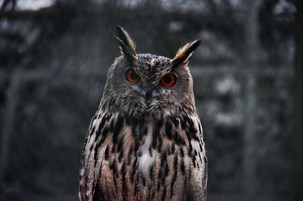 Photograph by Волков Станислав