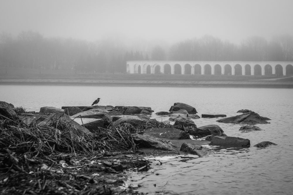 Туман над Волховом