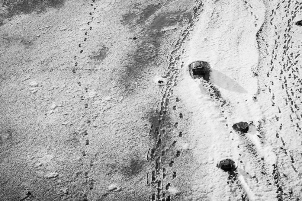 Пути-дороги