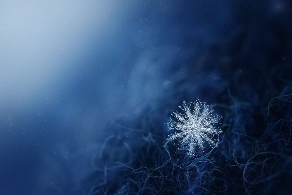 Фотография автора Яна Романова