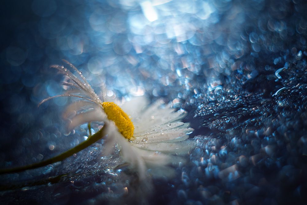 Photograph by Анастасия Крылова