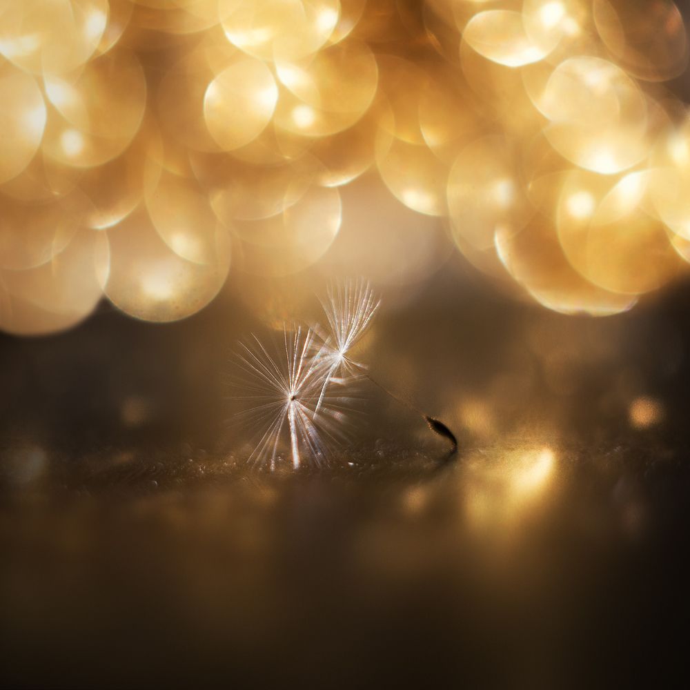 Photograph by Анастасия Крылова