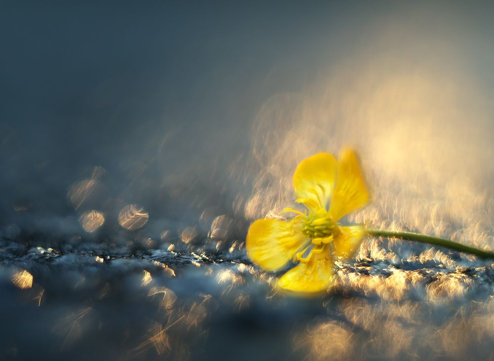 Photograph by Анастасия Крылова