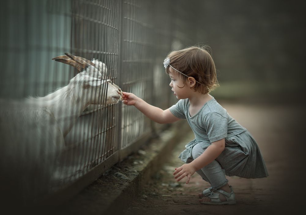 Photograph by Анастасия Крылова