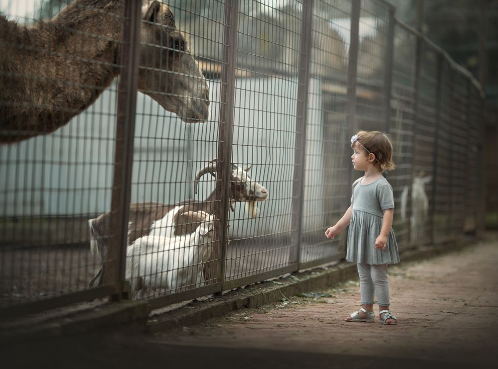 Photograph by Анастасия Крылова