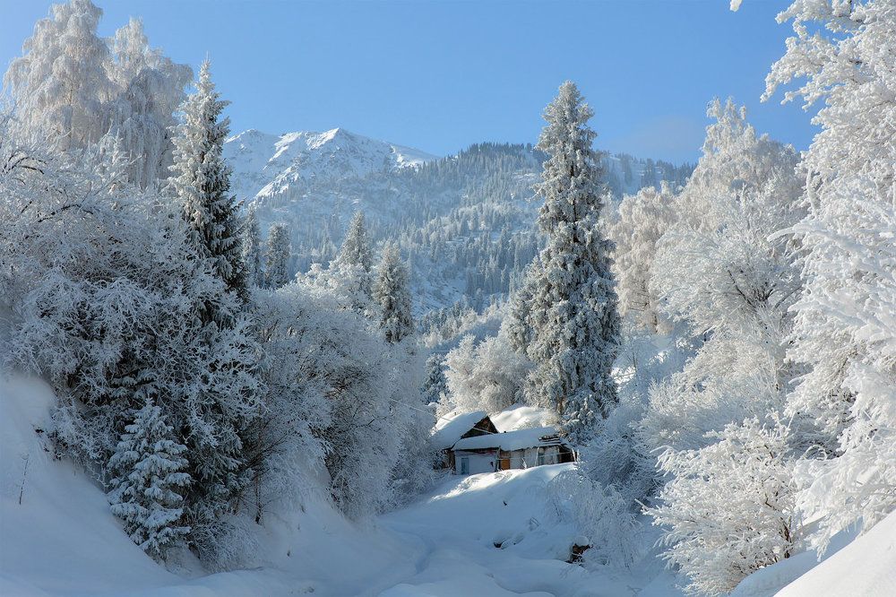 Домик в горах