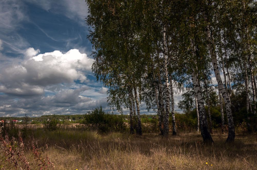 Подмосковный пейзаж