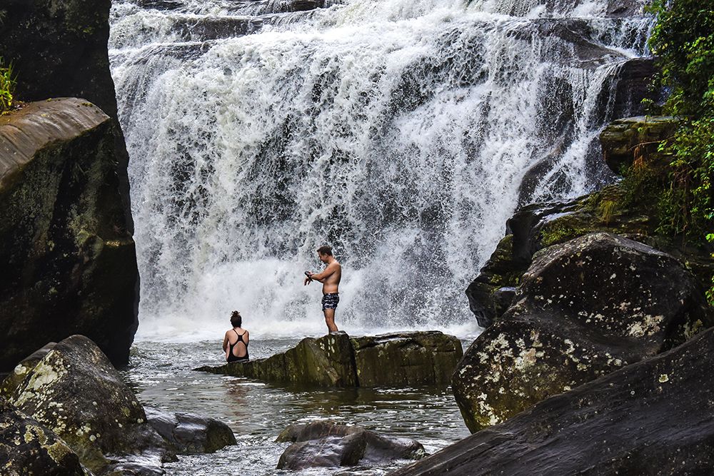 Official Photographer