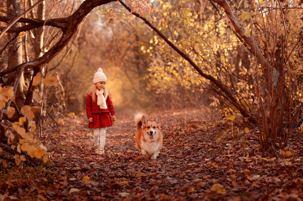 Прогулка с другом