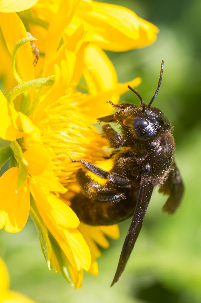 Photograph by Александр Михайлов
