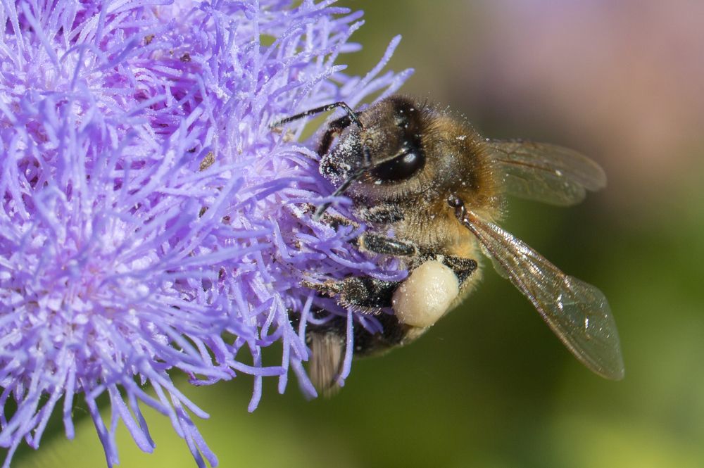 Photograph by Александр Михайлов