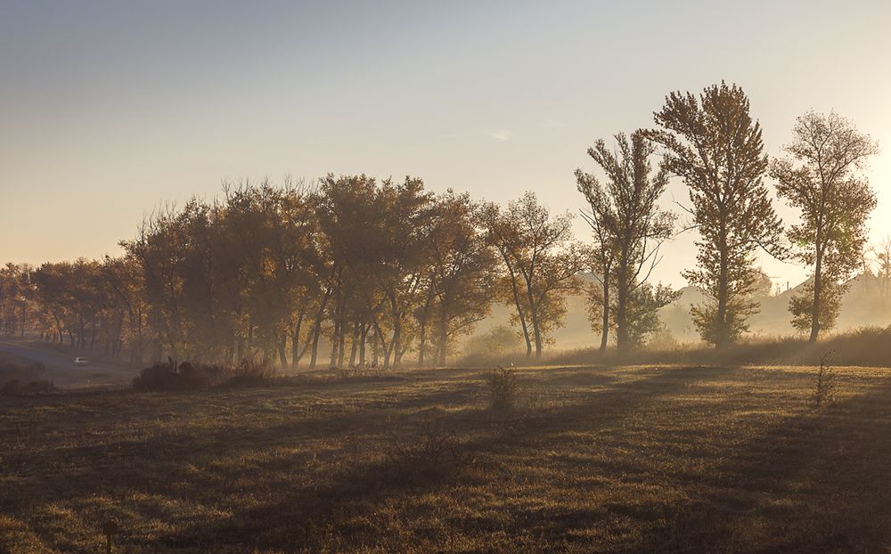 Осенний туман