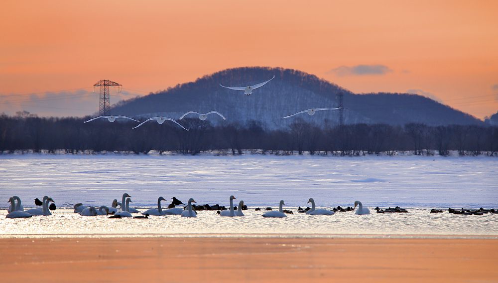 На рассвете.