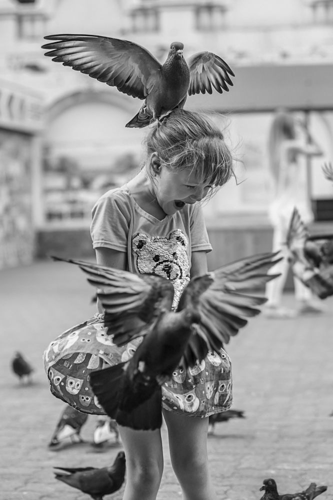 Голубей приручили...пора в цирк