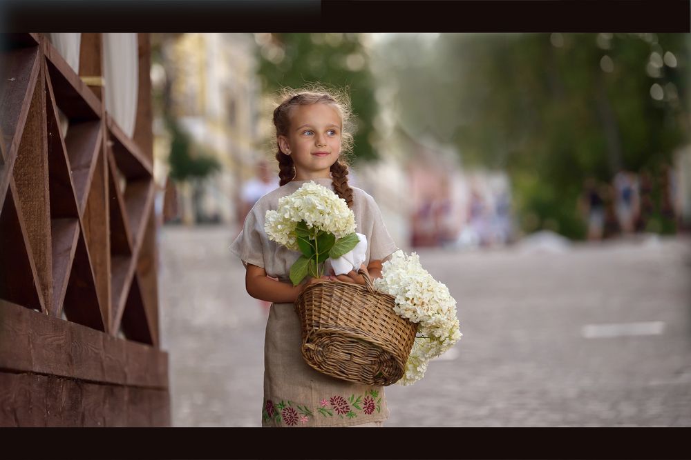 Фотография автора Светлана Мороз