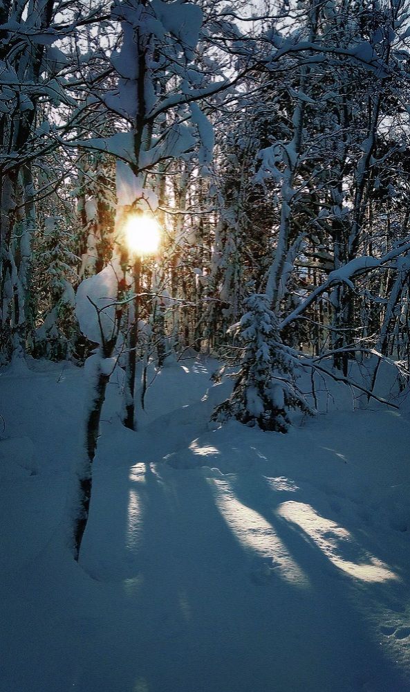 Photograph by Никита Сайкин