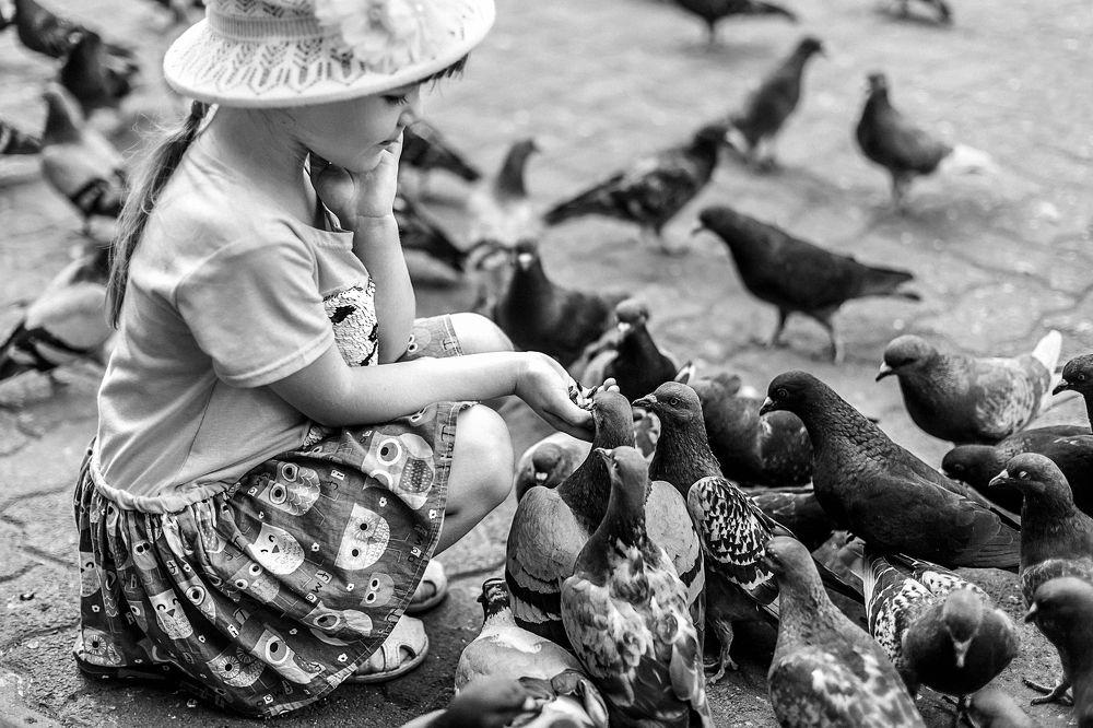 Накормлю всех!