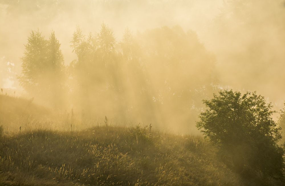 Photograph by Дмитрий Новоселов
