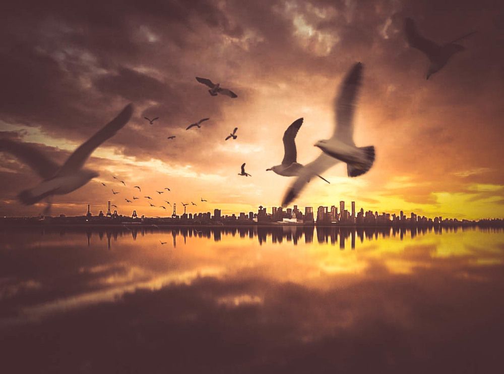 the beauty of our world