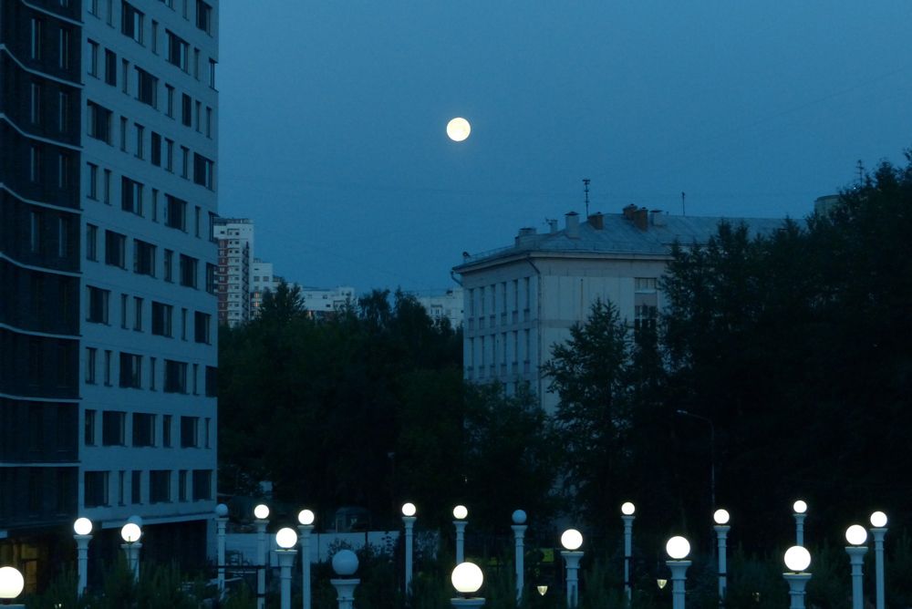 a lot of moon