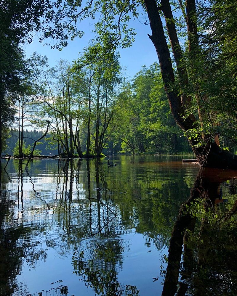 Времена года