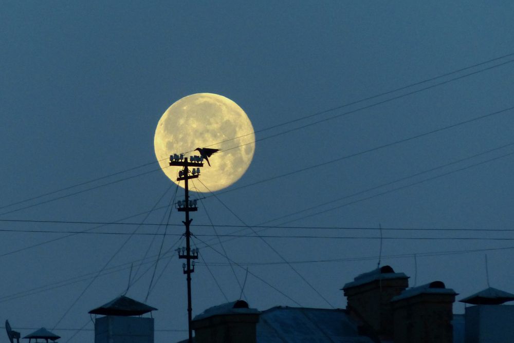 The moon is tangled in the wires