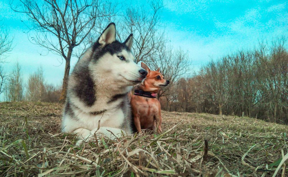 Фотография автора Мария Яропольская